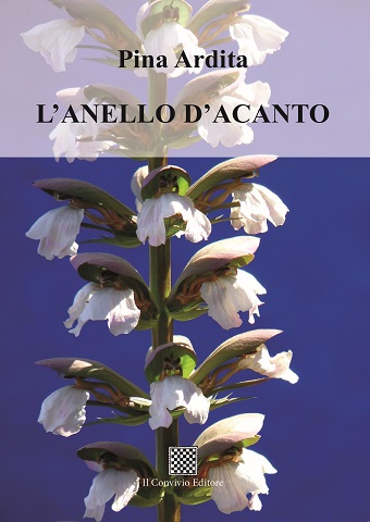 Copertina di L’anello d’acanto