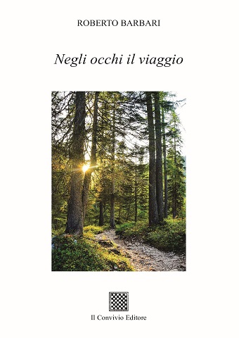 Copertina di Negli occhi il viaggio