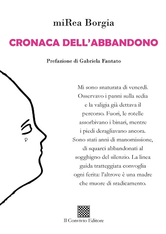 Copertina di Cronaca dell'abbandono