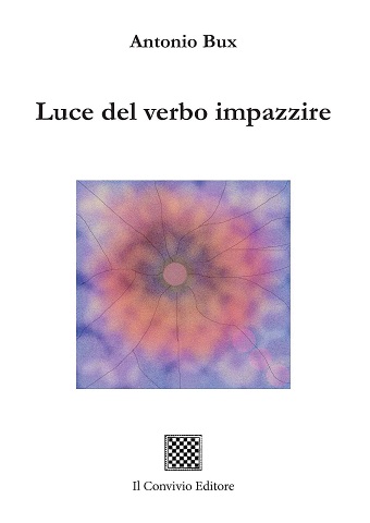 Copertina di Luce del verbo impazzire