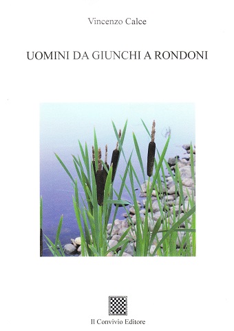 Copertina di Uomini da giunchi a rondoni