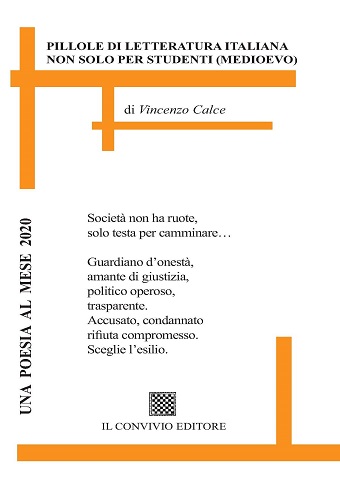 Copertina di Pillole di letteratura...