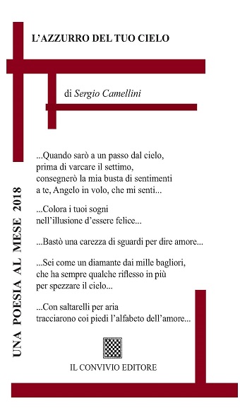 Copertina di L' azzurro del tuo cielo