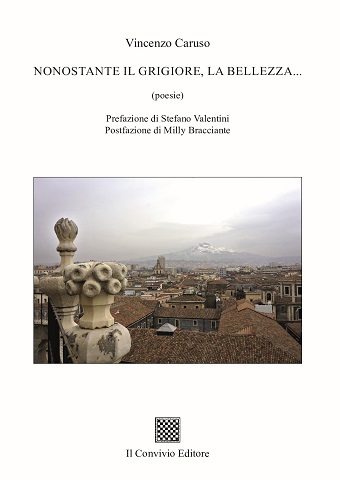 Copertina di Nonostante il grigiore, la bellezza…