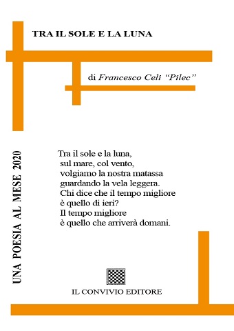 Copertina di Tra il sole e la luna