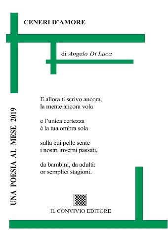 Copertina di Ceneri d'amore