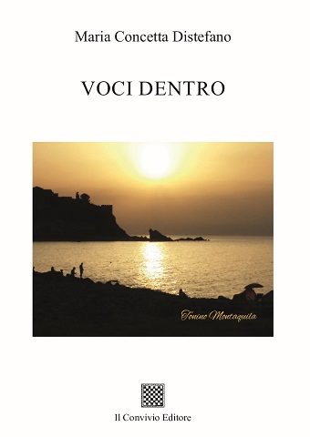 Copertina di Voci Dentro