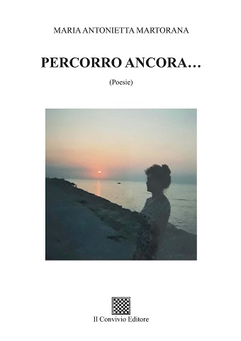 Copertina di Percorro ancora…