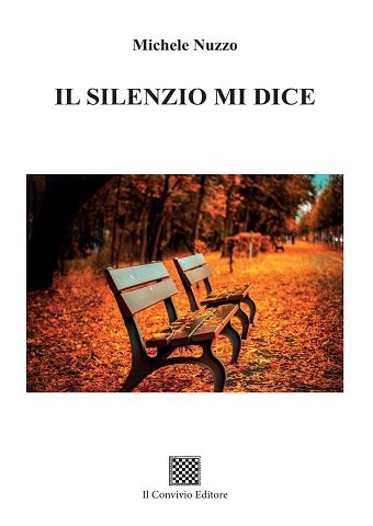 Copertina di Il silenzio mi dice 