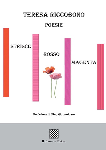 Copertina di Strisce rosso magenta