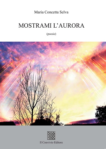 Copertina di Mostrami l’aurora