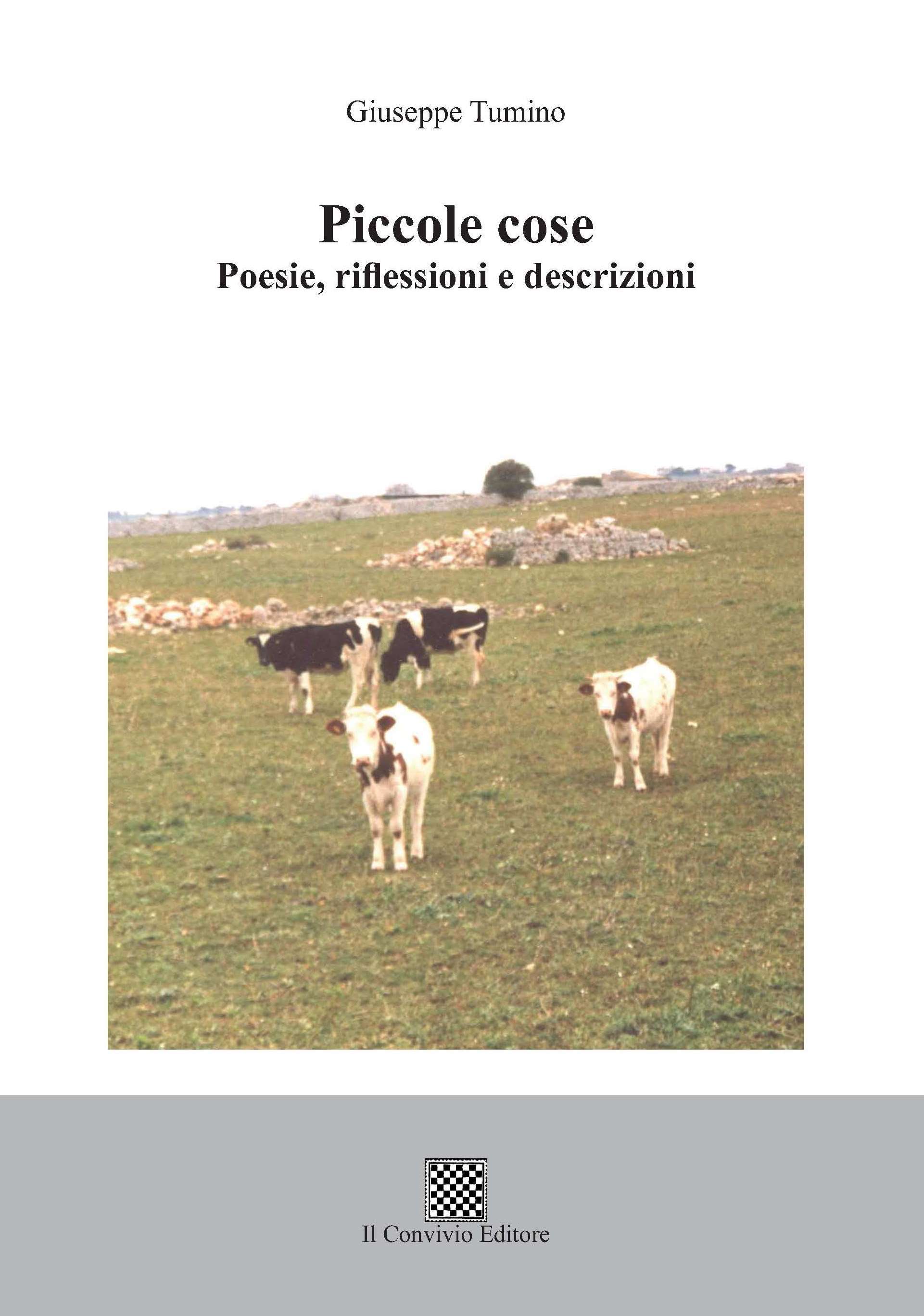 Copertina di Piccole cose. Poesie, riflessioni e descrizioni