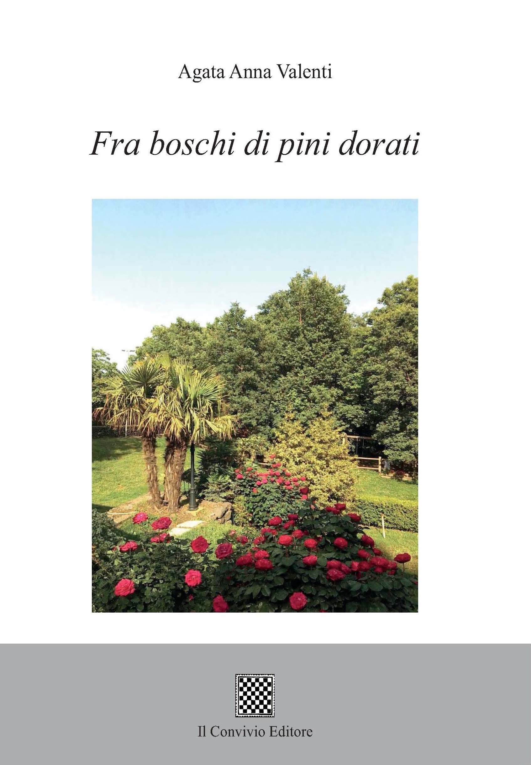 Copertina di Fra boschi di pini dorati