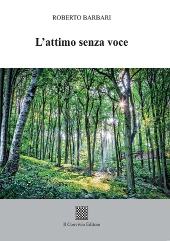 Copertina di L’attimo senza voce