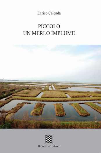 Copertina di Piccolo un merlo implume