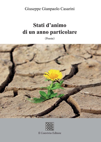 Copertina di Stati d’animo di un anno particolare (Poesie)