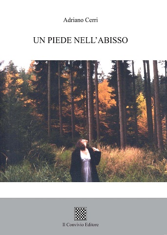 Copertina di Un piede nell'abisso