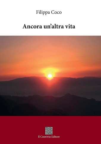 Copertina di Ancora un'altra vita