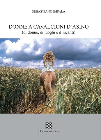 Copertina di Donne a cavalcioni d'asino (di donne, di luoghi e d'incanti)