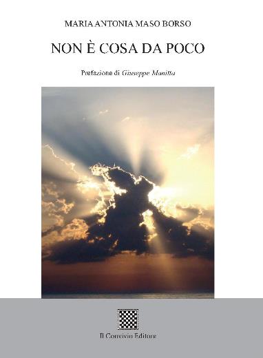 Copertina di Non è cosa da poco