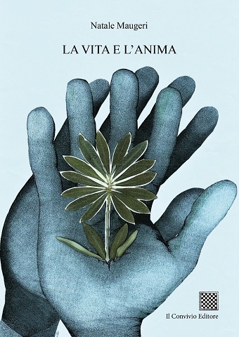 Copertina di La vita e l'anima