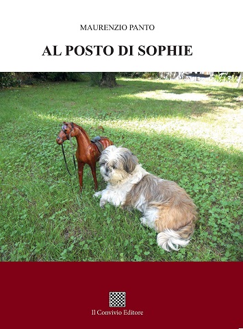 Copertina di Al posto di Sophie