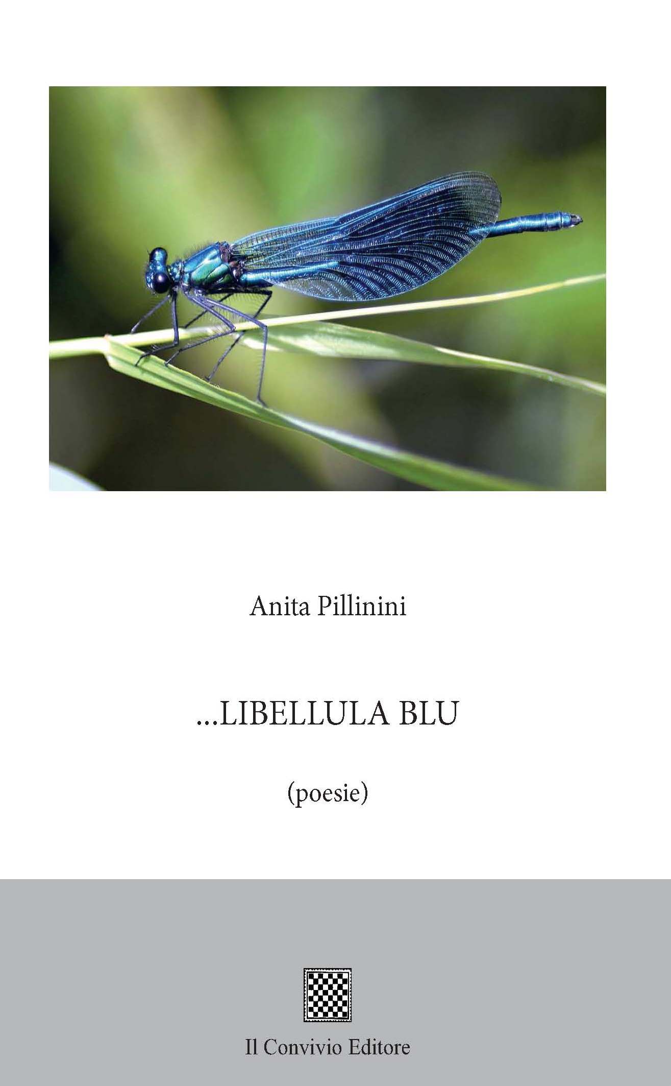 Copertina di Libellula blu