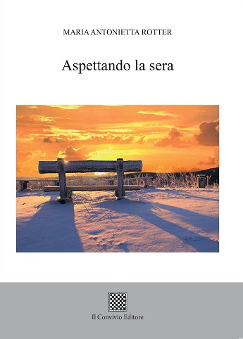 Copertina di Aspettando la sera