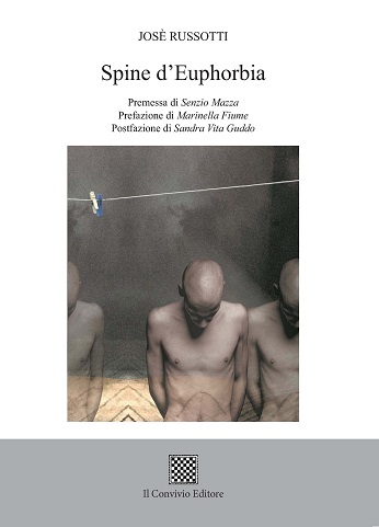 Copertina di Spine d'euphorbia