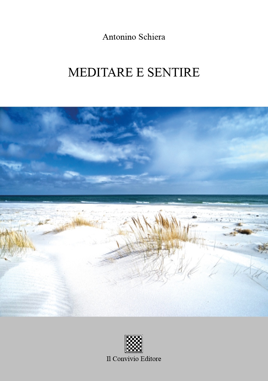 Copertina di Meditare e sentire