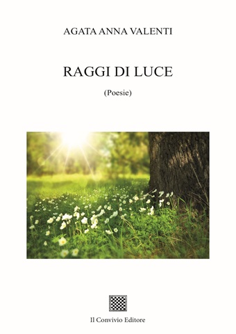 Copertina di RAGGI DI LUCE
