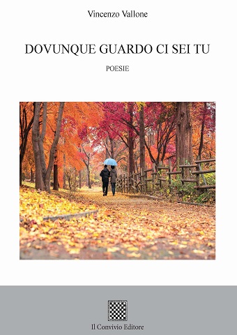 Copertina di Dovunque guardo ci sei tu