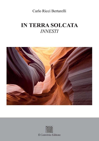 Copertina di In terra solcata. Innesti