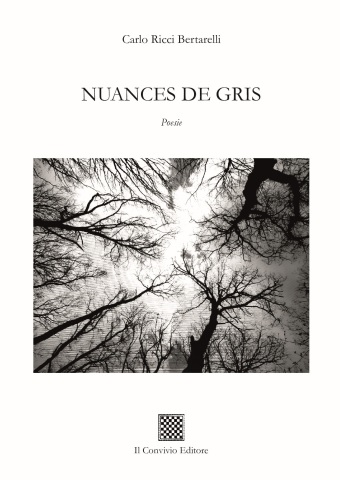 Copertina di NUANCES DE GRIS